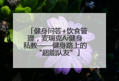 健身问答+饮食管理，麦瑞克Ai健身私教——健身路上的“超能队友”