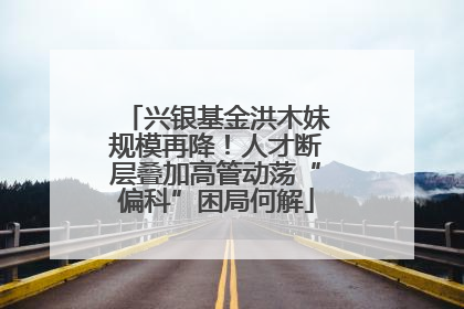 兴银基金洪木妹规模再降！人才断层叠加高管动荡“偏科”困局何解