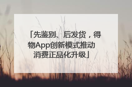 先鉴别、后发货，得物App创新模式推动消费正品化升级