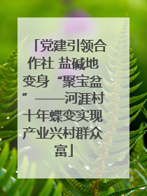 党建引领合作社 盐碱地变身“聚宝盆”——河涯村十年蝶变实现产业兴村群众富