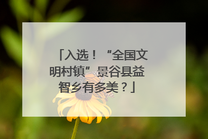 入选！“全国文明村镇”景谷县益智乡有多美？