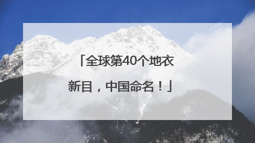 全球第40个地衣新目，中国命名！