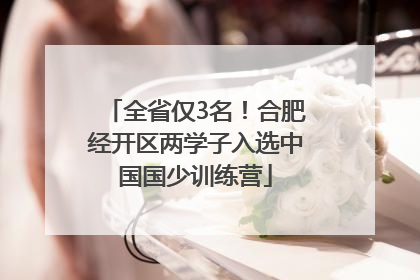 全省仅3名！合肥经开区两学子入选中国国少训练营