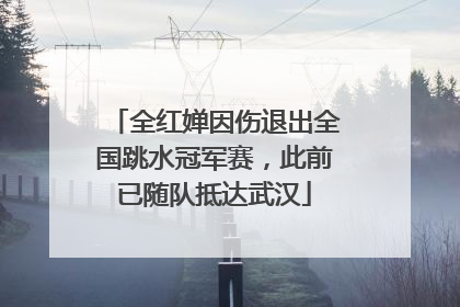 全红婵因伤退出全国跳水冠军赛，此前已随队抵达武汉
