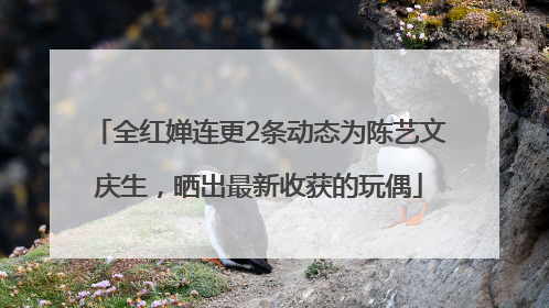 全红婵连更2条动态为陈艺文庆生，晒出最新收获的玩偶