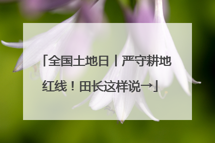 全国土地日丨严守耕地红线！田长这样说→