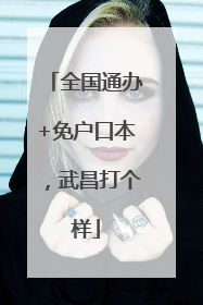 全国通办+免户口本，武昌打个样