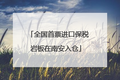 全国首票进口保税岩板在南安入仓