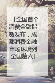 全国首个消费金融指数发布，成都消费金融市场环境列全国第六