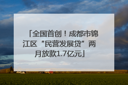 全国首创！成都市锦江区“民营发展贷”两月放款1.7亿元
