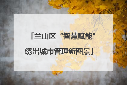兰山区“智慧赋能”绣出城市管理新图景