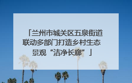 兰州市城关区五泉街道联动多部门打造乡村生态景观“洁净长廊”