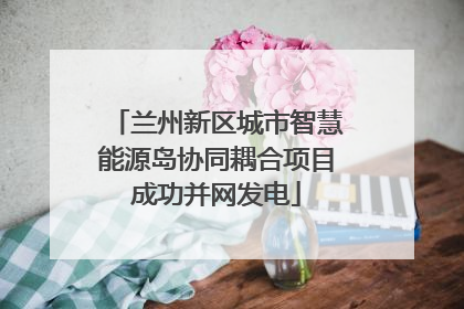 兰州新区城市智慧能源岛协同耦合项目成功并网发电