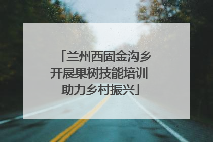 兰州西固金沟乡开展果树技能培训 助力乡村振兴