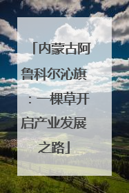 内蒙古阿鲁科尔沁旗：一棵草开启产业发展之路