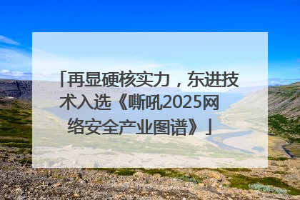 再显硬核实力，东进技术入选《嘶吼2025网络安全产业图谱》