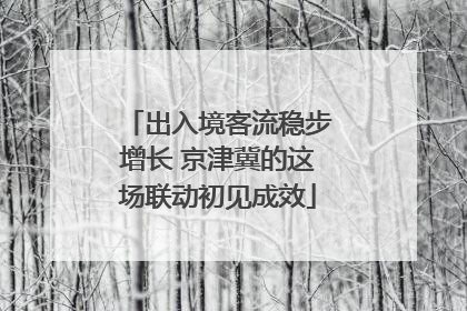 出入境客流稳步增长 京津冀的这场联动初见成效