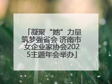凝聚“她”力量 筑梦强省会 济南市女企业家协会2025主题年会举办