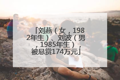 刘燕（女，1982年生）、刘波（男，1985年生），被悬赏174万元