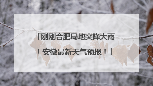 刚刚合肥局地突降大雨！安徽最新天气预报！