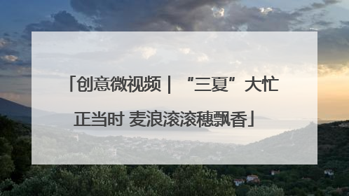 创意微视频｜“三夏”大忙正当时 麦浪滚滚穗飘香