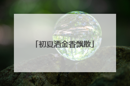 初夏洒金香飘散