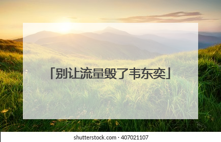 别让流量毁了韦东奕