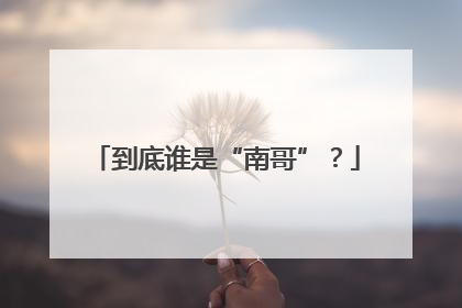 到底谁是“南哥”？
