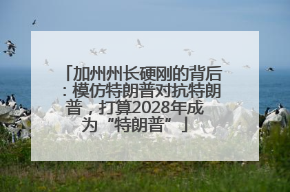 加州州长硬刚的背后：模仿特朗普对抗特朗普，打算2028年成为“特朗普”