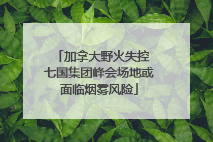 加拿大野火失控 七国集团峰会场地或面临烟雾风险