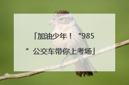 加油少年！“985”公交车带你上考场