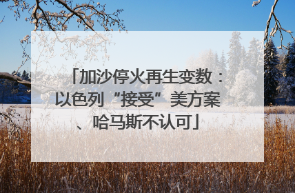 加沙停火再生变数：以色列“接受”美方案、哈马斯不认可