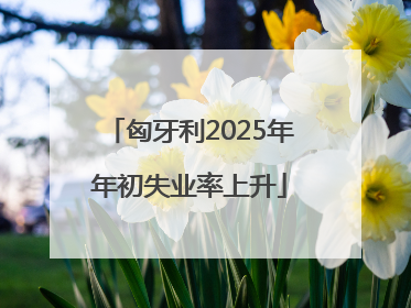 匈牙利2025年年初失业率上升