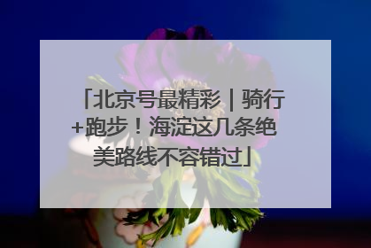 北京号最精彩｜骑行+跑步！海淀这几条绝美路线不容错过