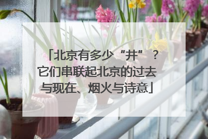 北京有多少“井”？它们串联起北京的过去与现在、烟火与诗意