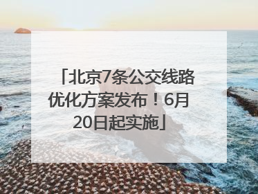 北京7条公交线路优化方案发布！6月20日起实施