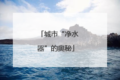城市“净水器”的奥秘