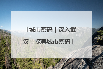 城市密码｜深入武汉，探寻城市密码