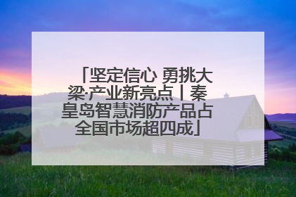 坚定信心 勇挑大梁·产业新亮点丨秦皇岛智慧消防产品占全国市场超四成