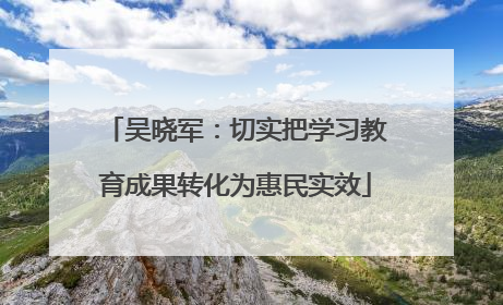 吴晓军：切实把学习教育成果转化为惠民实效