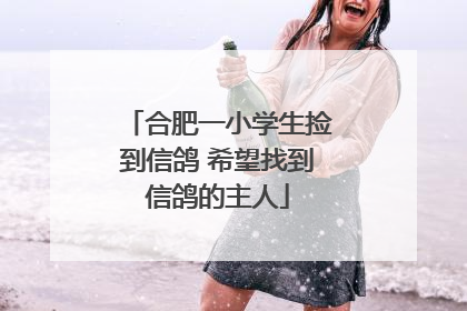 合肥一小学生捡到信鸽 希望找到信鸽的主人