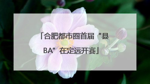 合肥都市圈首届“县BA”在定远开赛