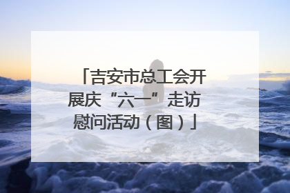 吉安市总工会开展庆“六一”走访慰问活动（图）