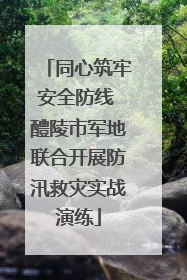 同心筑牢安全防线 醴陵市军地联合开展防汛救灾实战演练