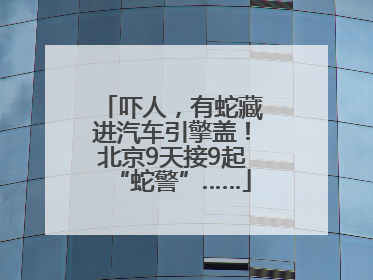 吓人，有蛇藏进汽车引擎盖！北京9天接9起“蛇警”……