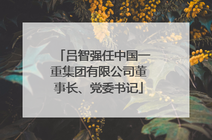 吕智强任中国一重集团有限公司董事长、党委书记