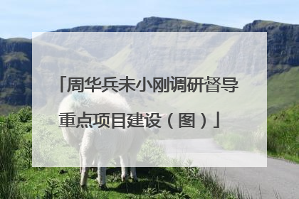 周华兵未小刚调研督导重点项目建设（图）