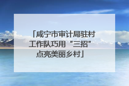 咸宁市审计局驻村工作队巧用“三招”点亮美丽乡村