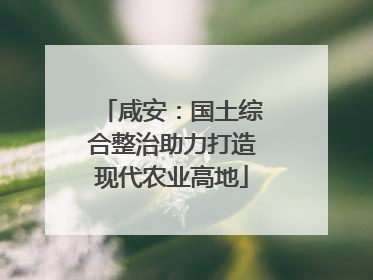 咸安：国土综合整治助力打造现代农业高地