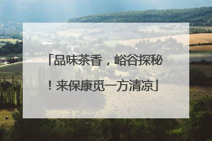 品味茶香，峪谷探秘！来保康觅一方清凉
